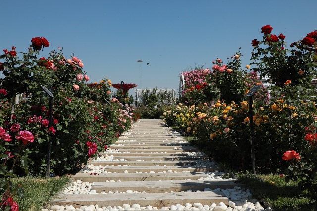 mevlana-gul-parki-kapilarini-acti-10.jpg