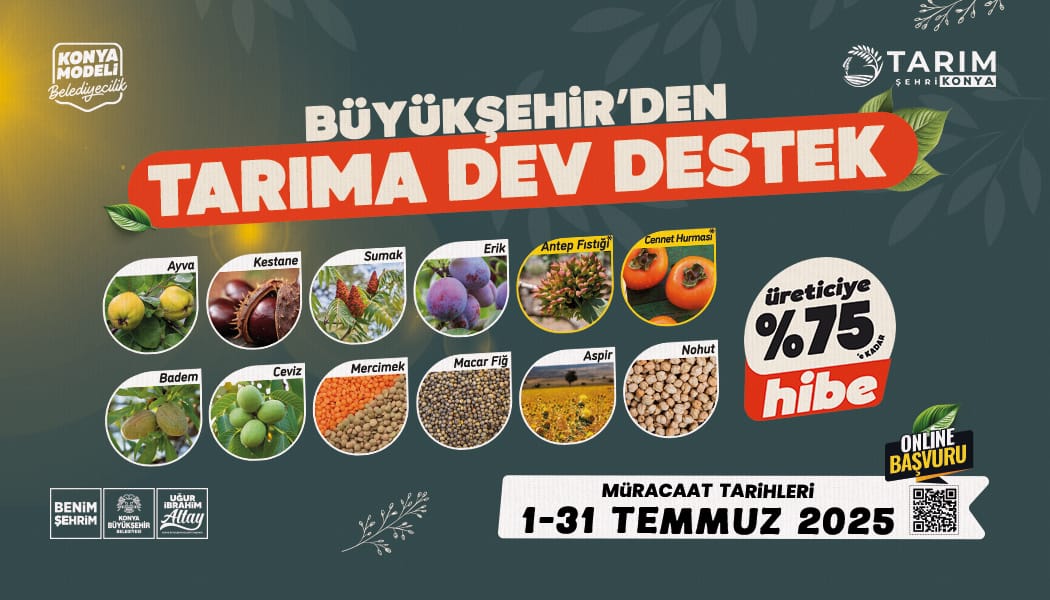 k52zkue9f6i1zp0q9osselsbehgvqm56ctywbceh.jpg