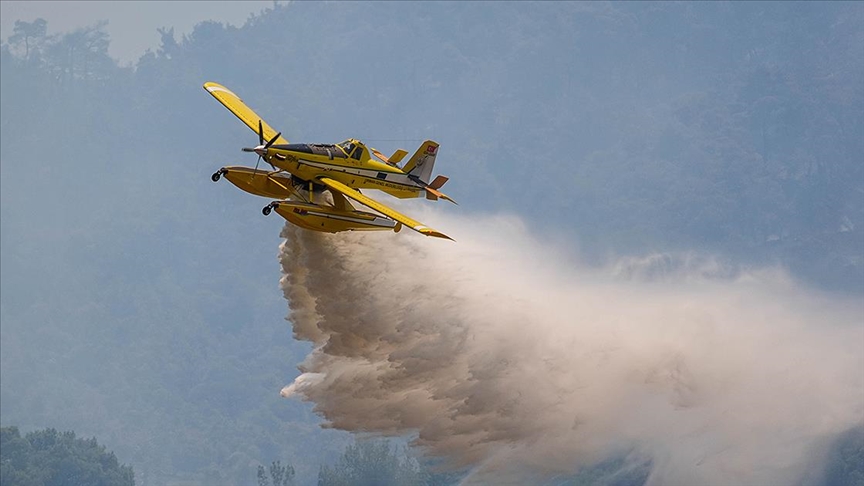 thumbs-b-c-433f7dc99dfc3e72e993ae996a6b3ad5.jpg
