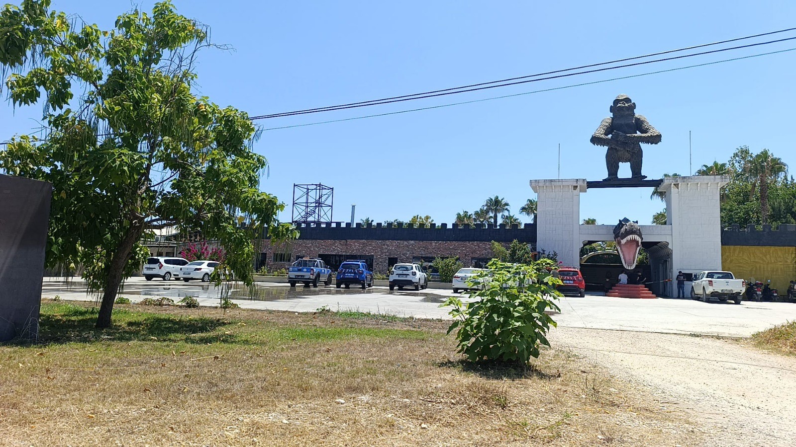 aw492141-02.jpg
