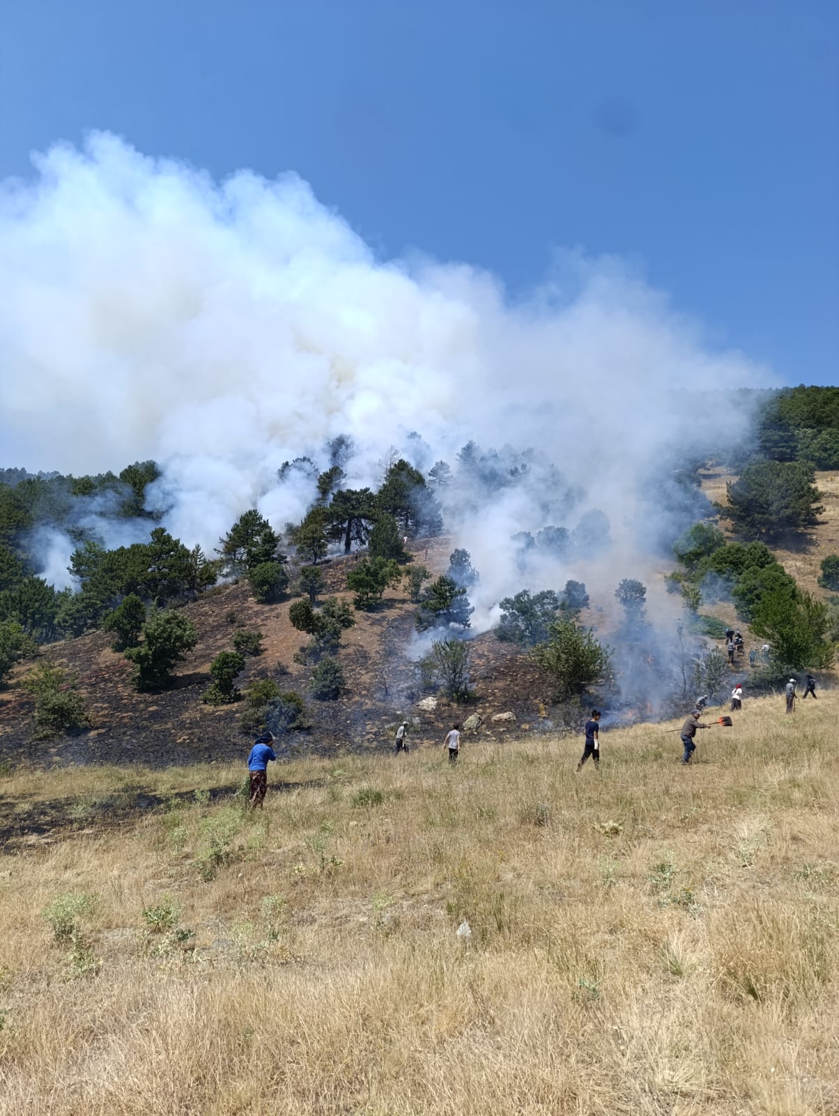 aa-20250714-38556138-38556136-konyada-cikan-orman-yanginina-mudahale-ediliyor-1.jpg
