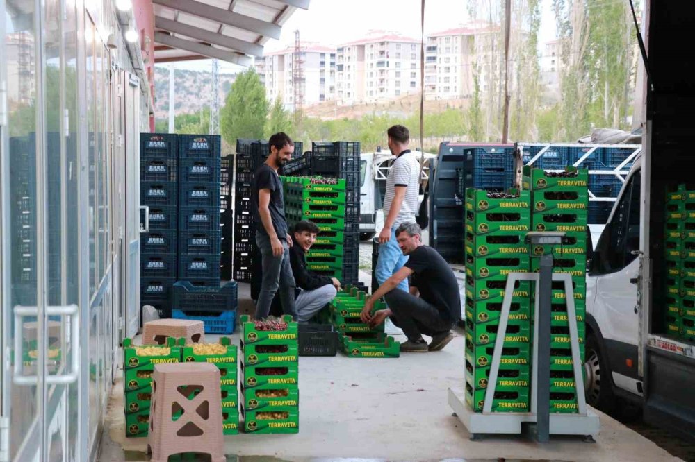Konya'nın ünlü kirazı dalında 400 TL