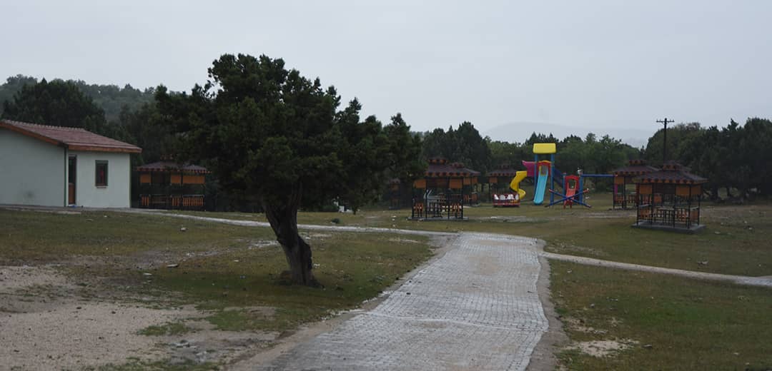 bka8470.jpg