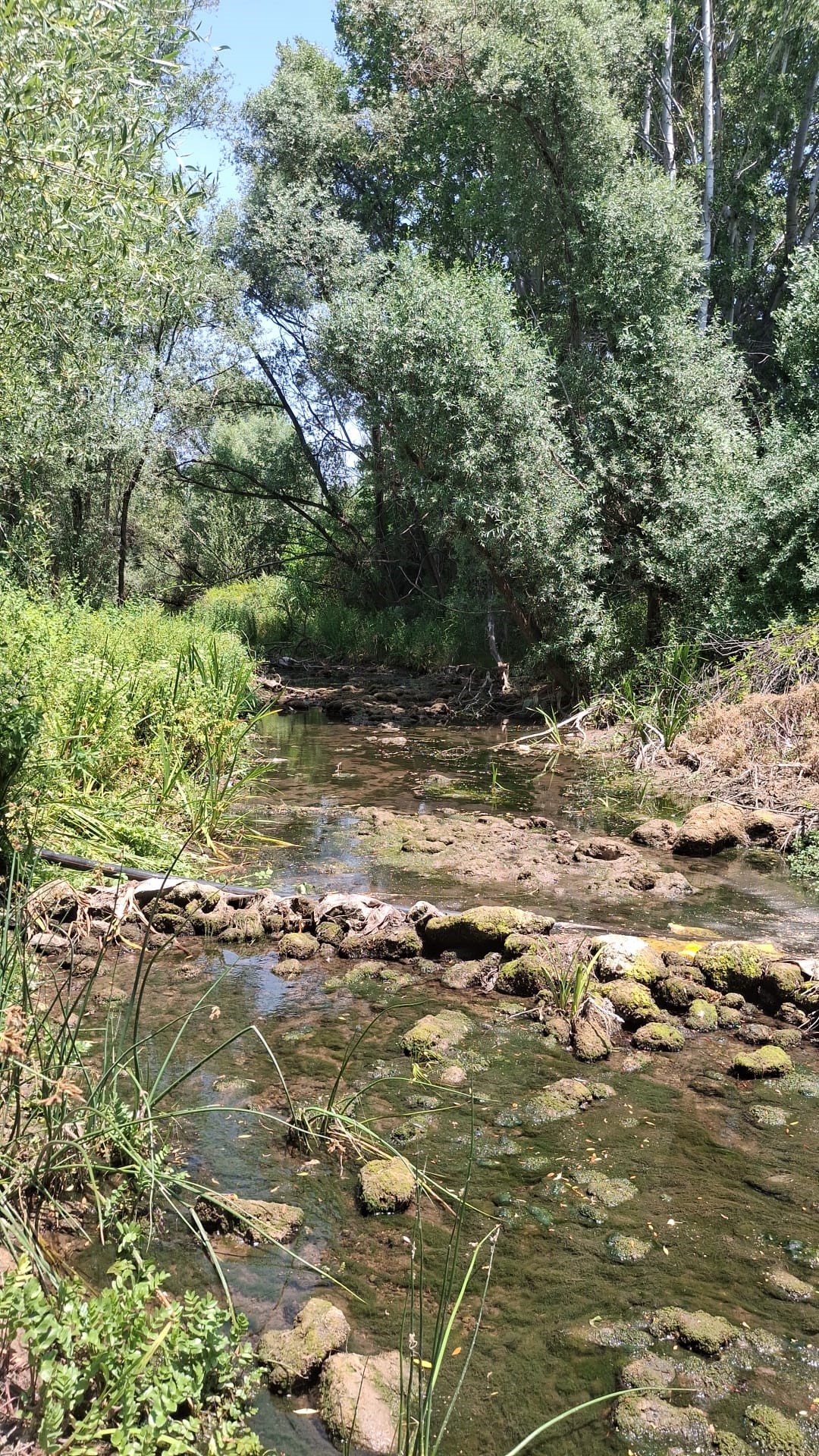aw502172-01-001.jpg