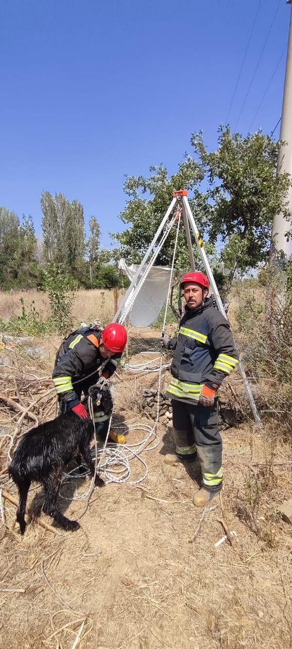 aa-20250814-38829566-38829564-konyada-kuyuya-dusen-keci-itfaiye-ekiplerince-kurtarildi-1.jpg
