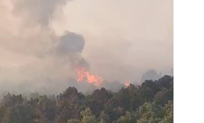 konya-beysehir-orman-yangini-6.jpg
