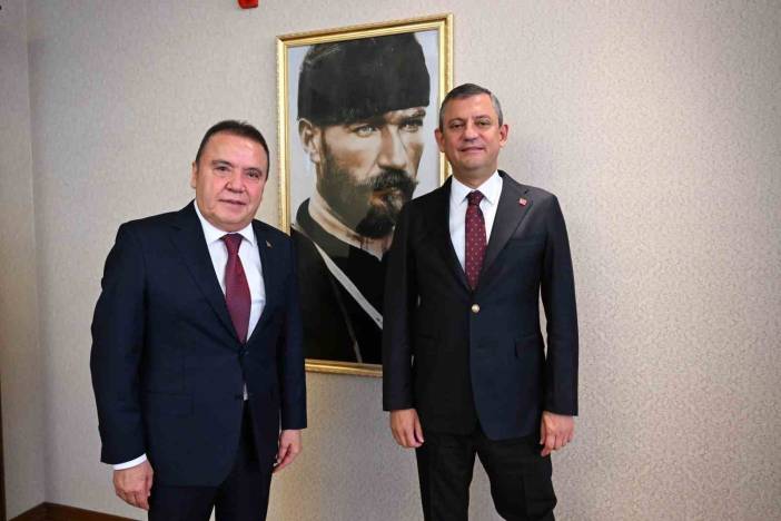 bocek.jpg