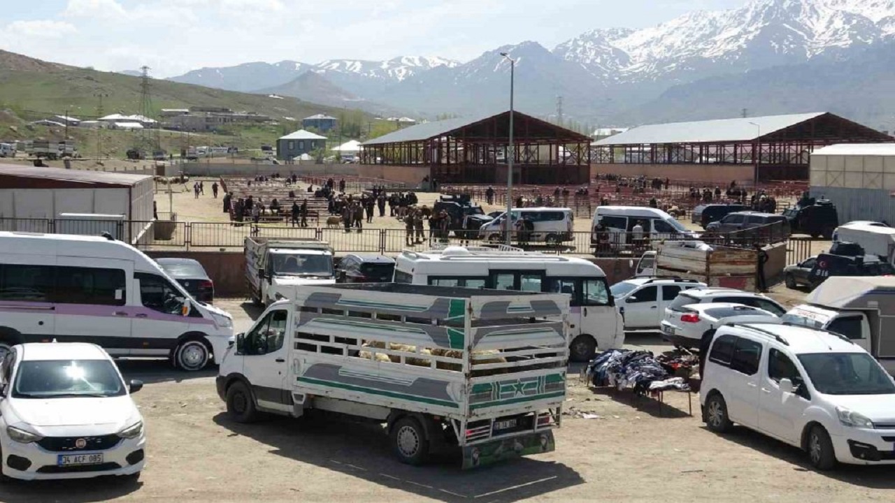 van-haycan.jpg