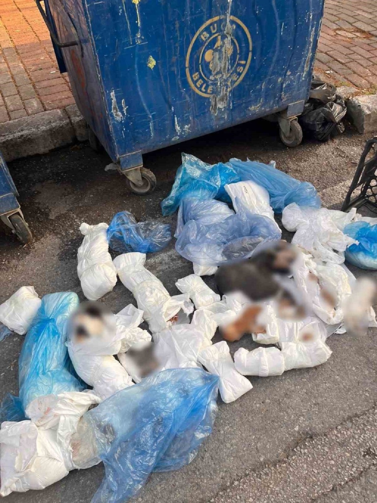 izmir-olu-posetr.jpg