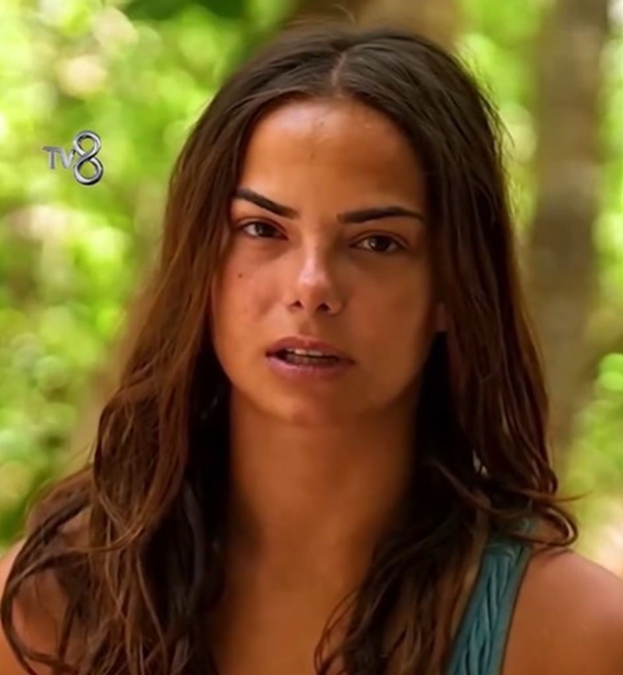 survivor2.jpg