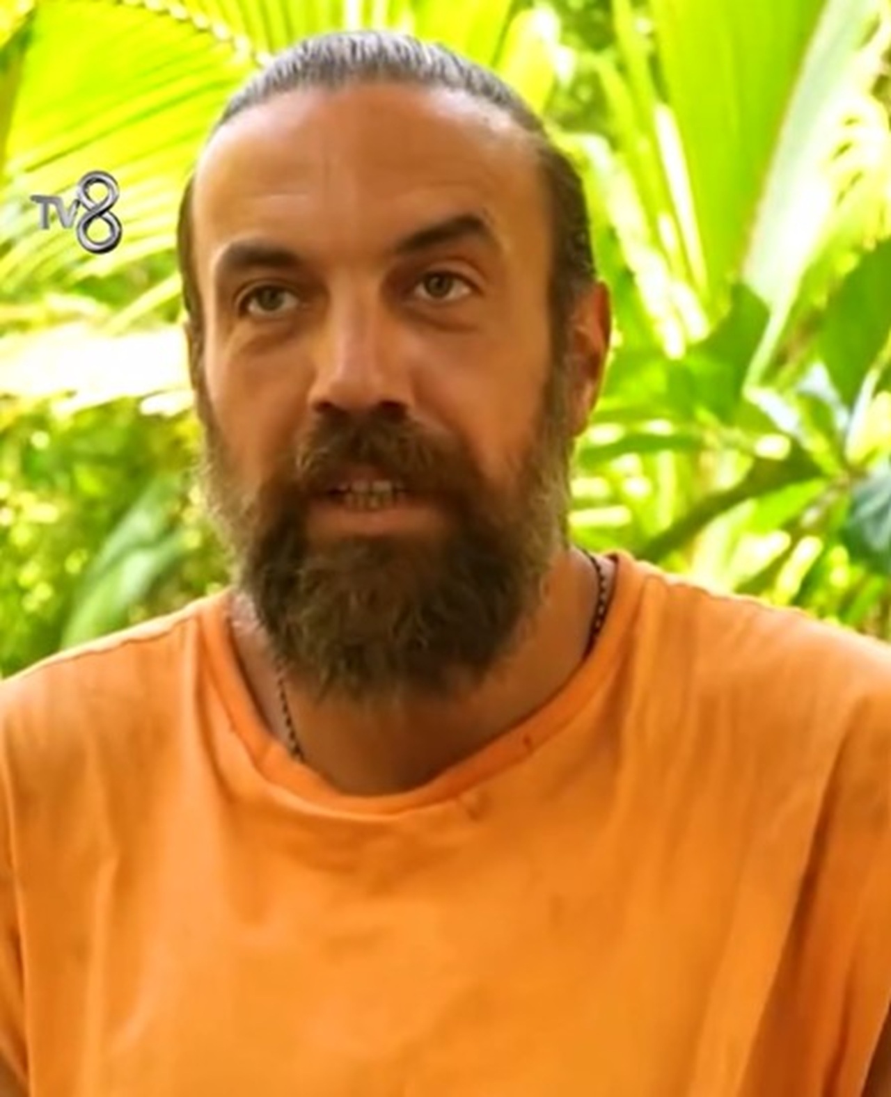 survivor6.jpg