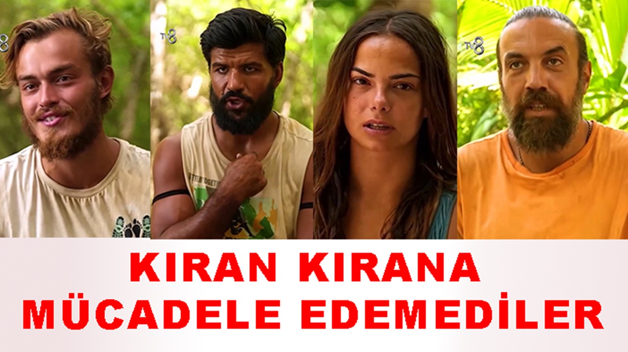 survivor15.jpg