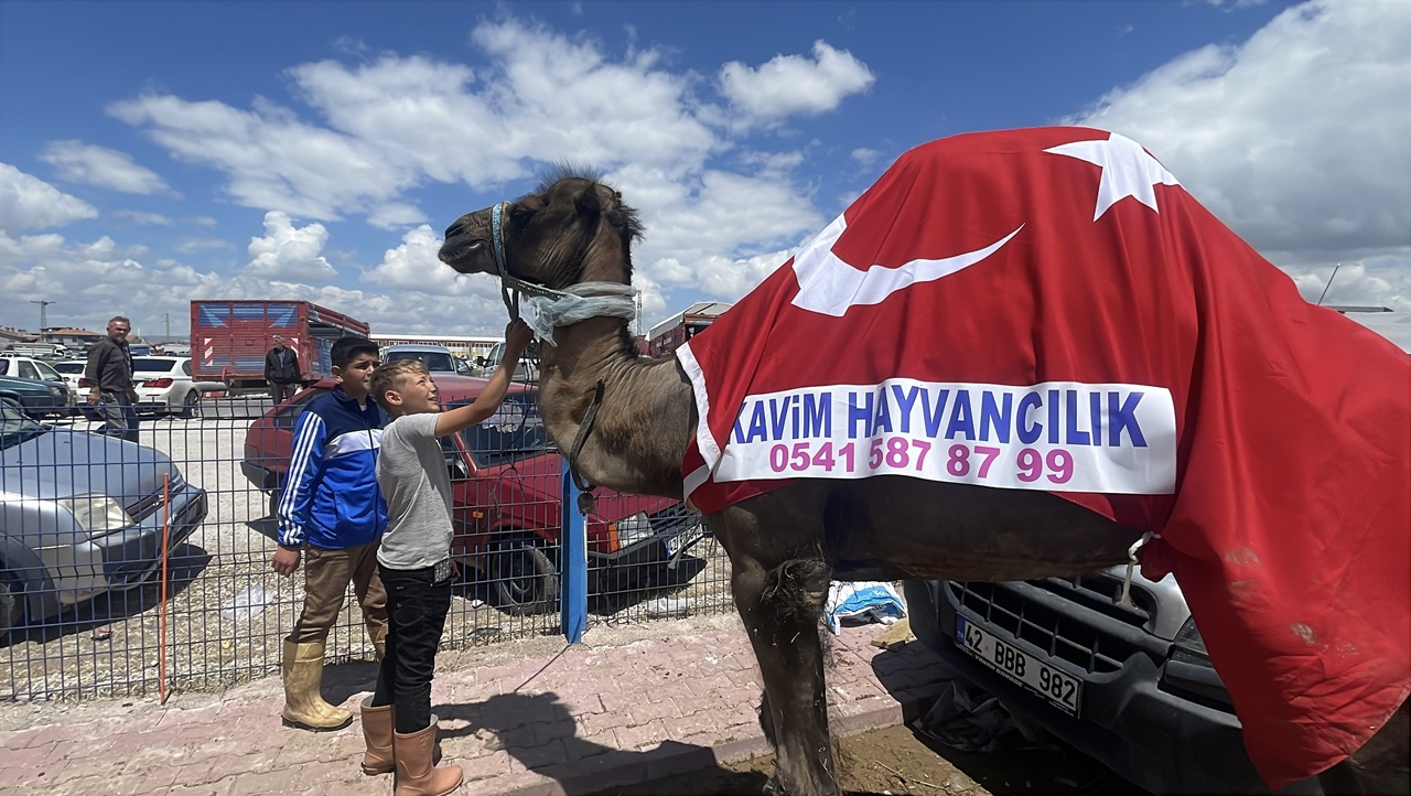 kurban-bayrami-pazar-1.jpg
