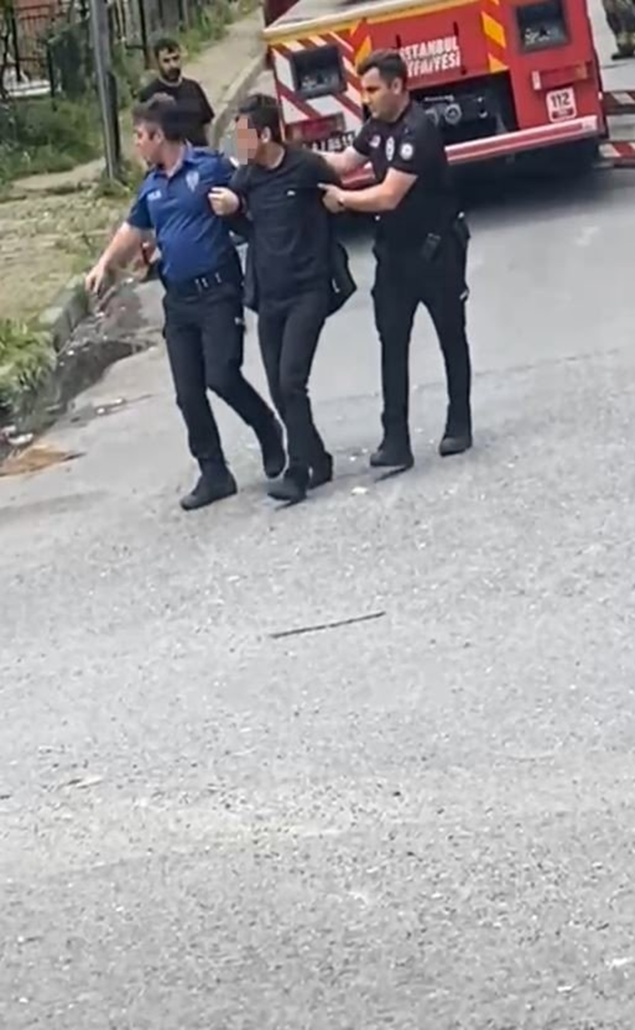 rehin.jpg
