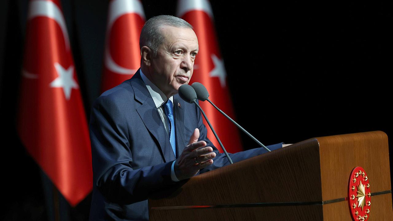 erdogan-2120974.jpg