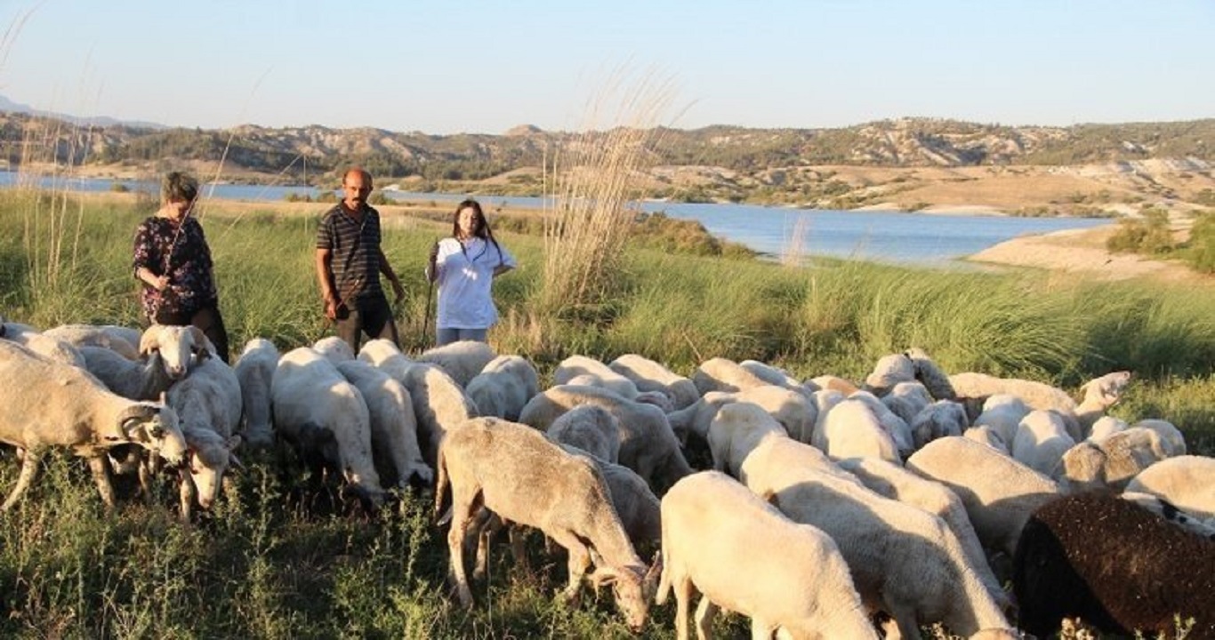 denizli.jpg