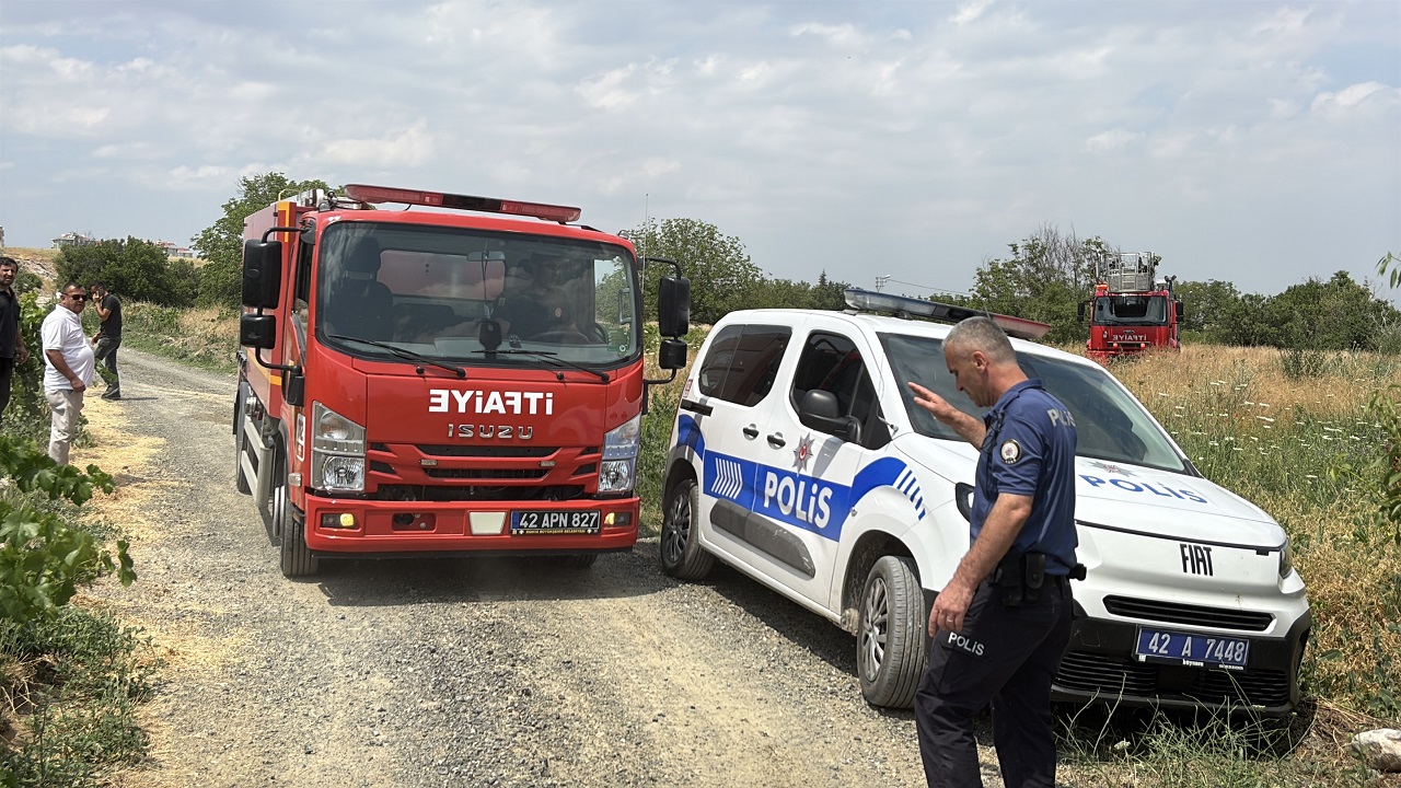aw746684-05.jpg