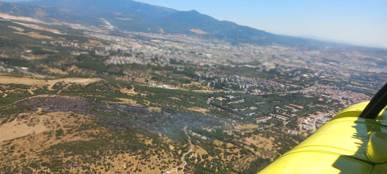 izmir-bornova-orman-yangini-4.jpg