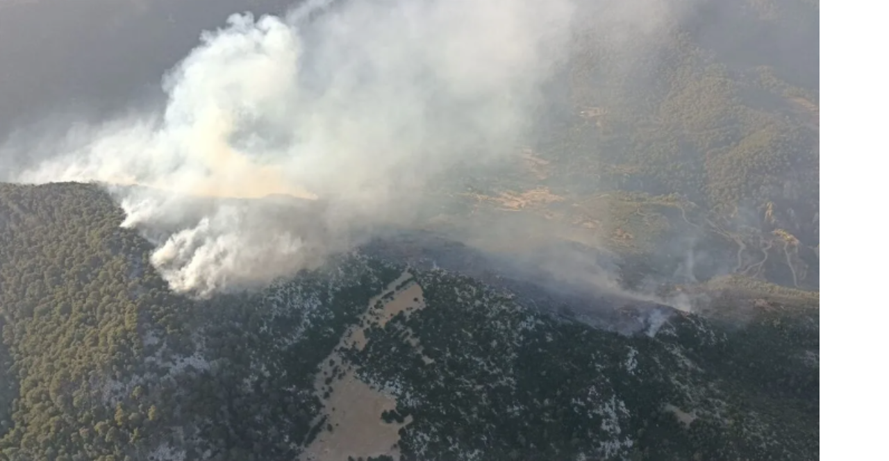 antalya-kas-orman-yangini-1.png