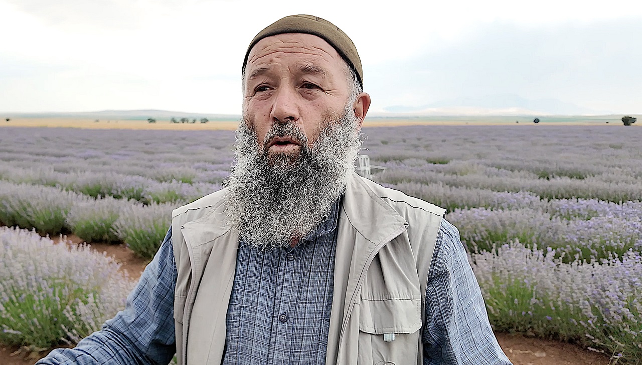 lavanta-konya2.jpg