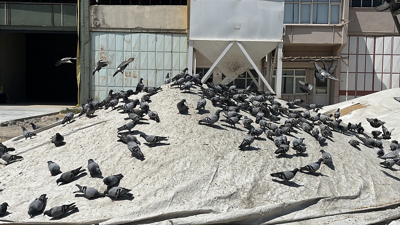 konya-bugday-pazari-2.jpg