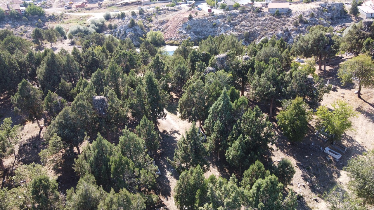 beysehir-leylek-2.jpg