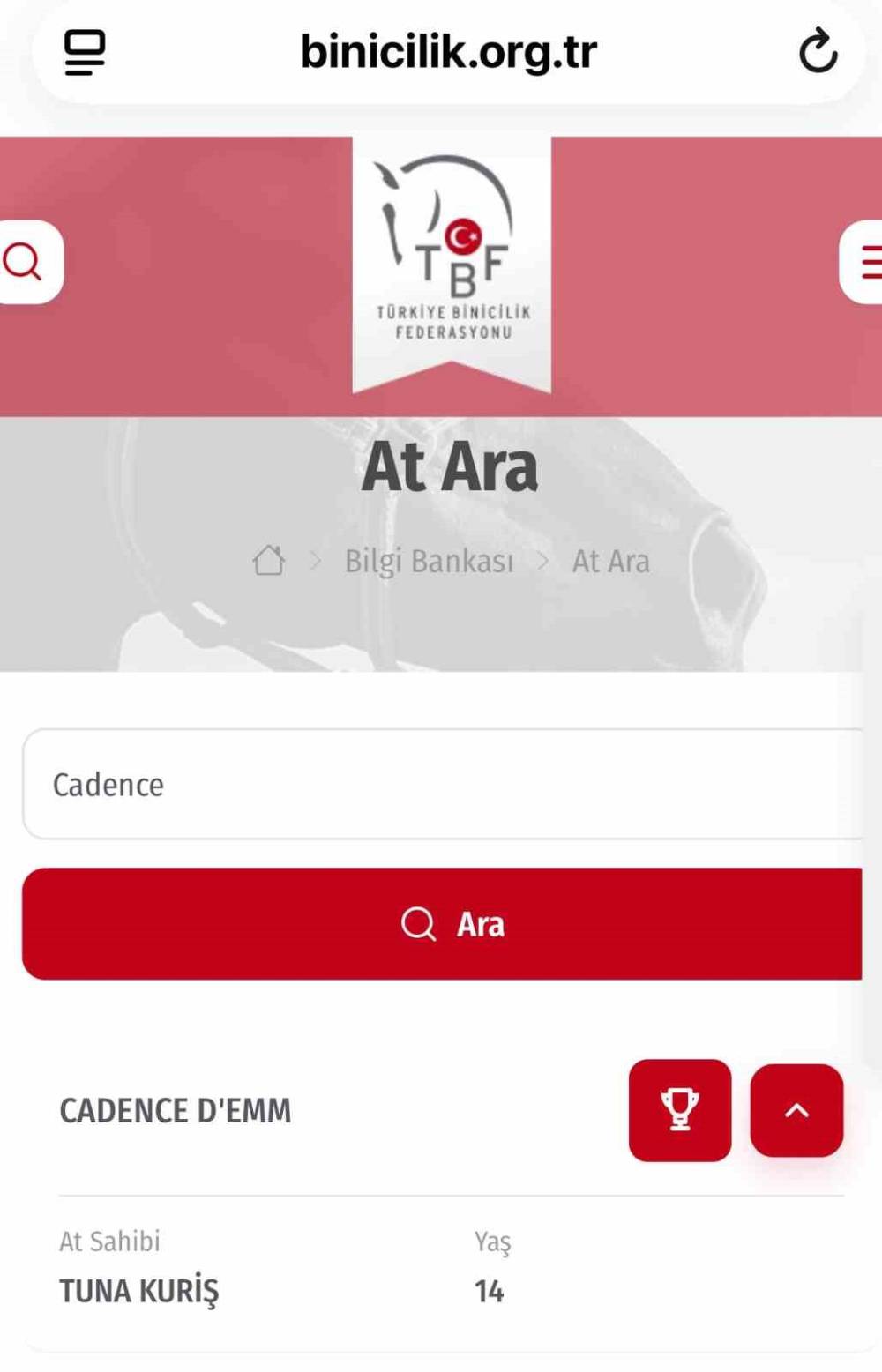 Alihan Kuriş henüz 25 yaşında Porsche Carrera'ya binmeye başlamış!