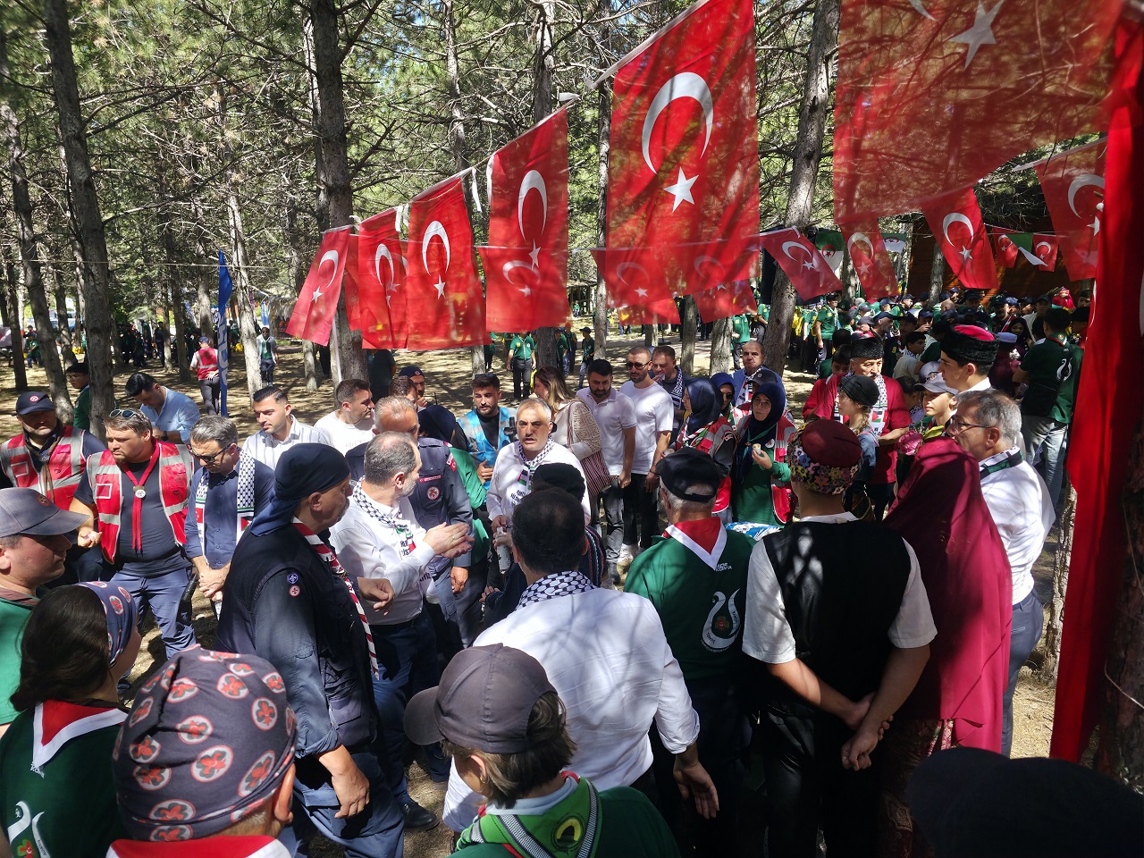 2gkdoltopu0gtha6cdk0f5l8aan9k4bbkude2its.jpg