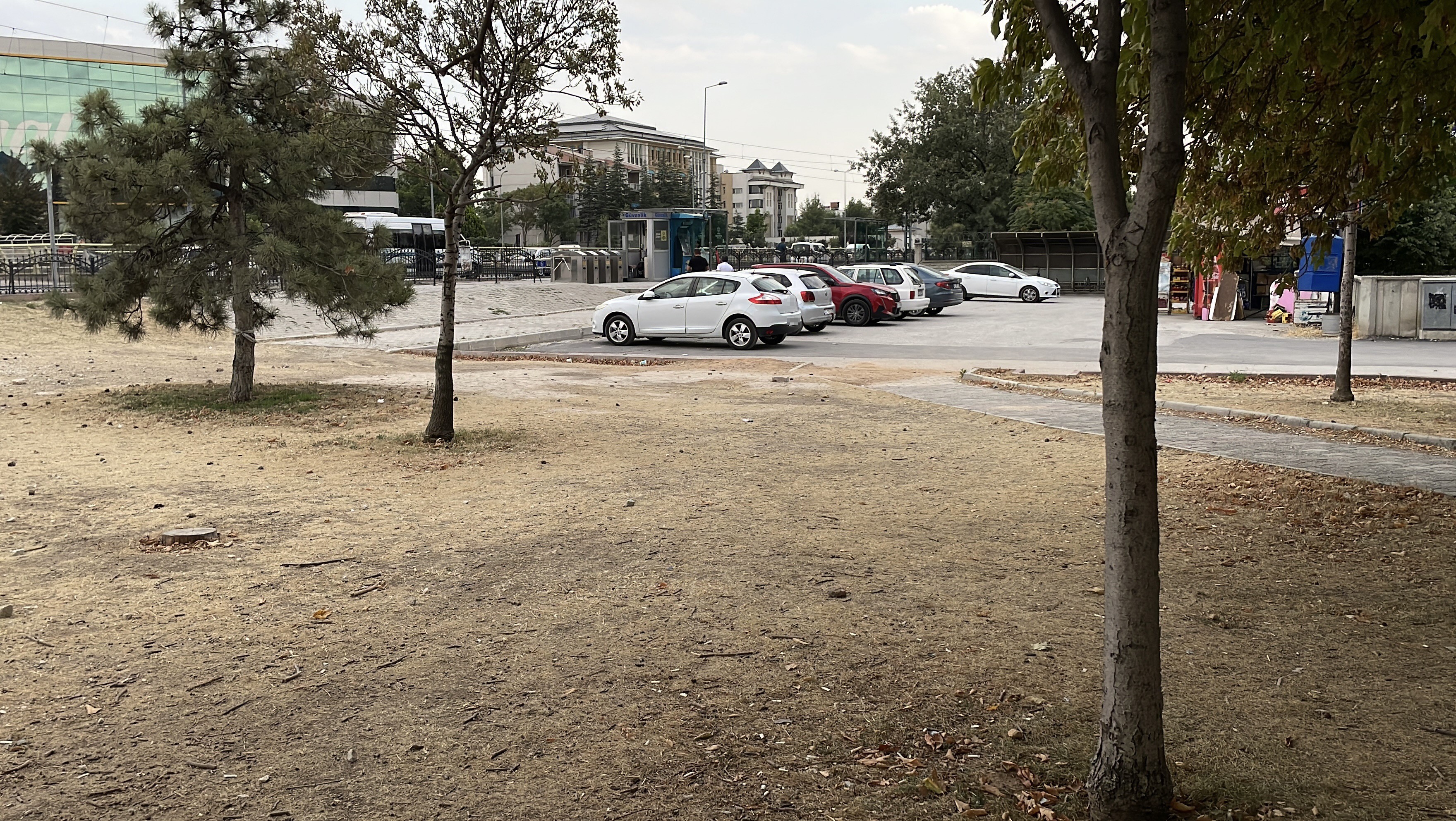 konya-kiskanclik-2.jpg