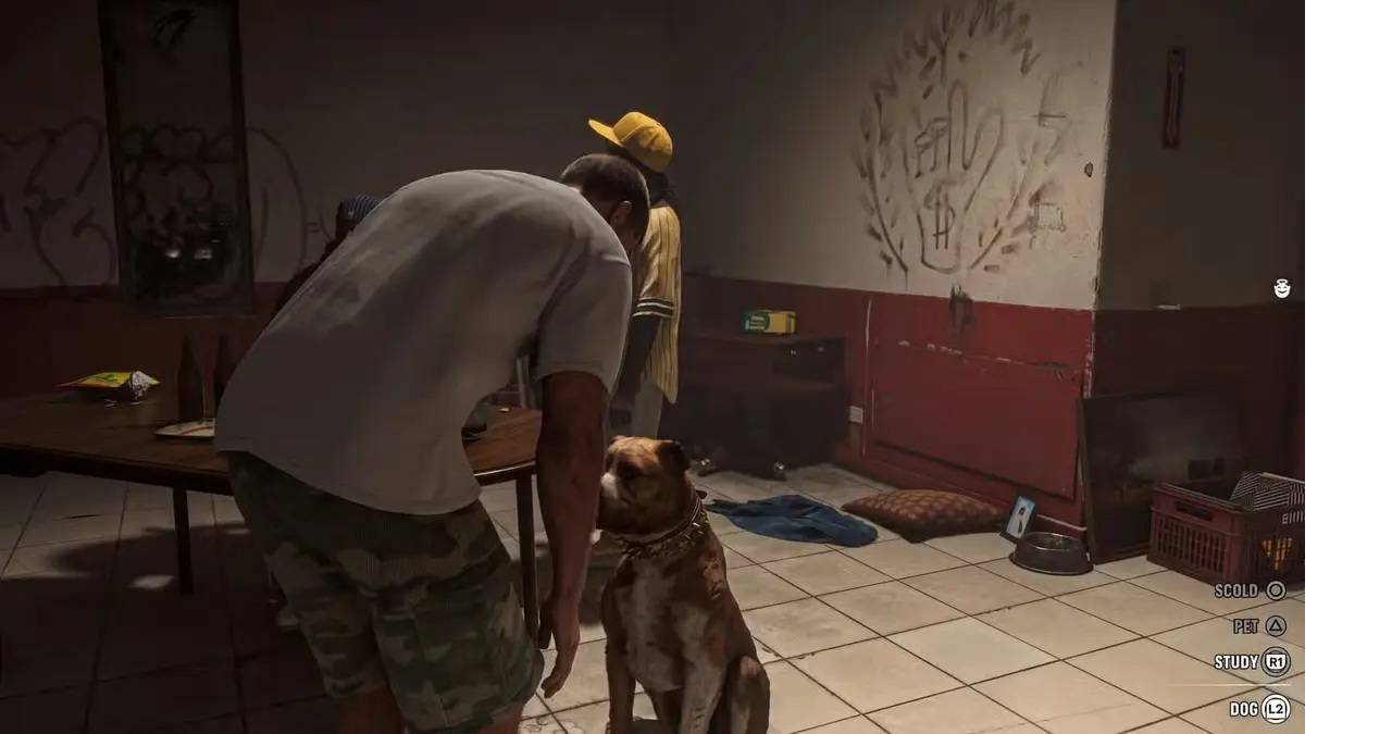 gta-evcil-havan.jpg