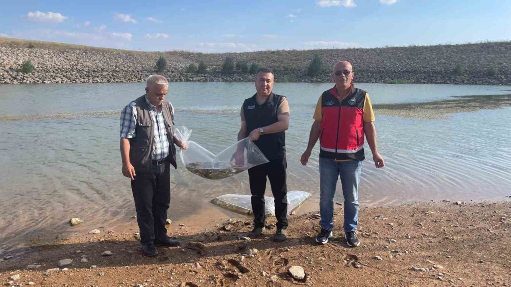 beysehir-huyuk.jpg