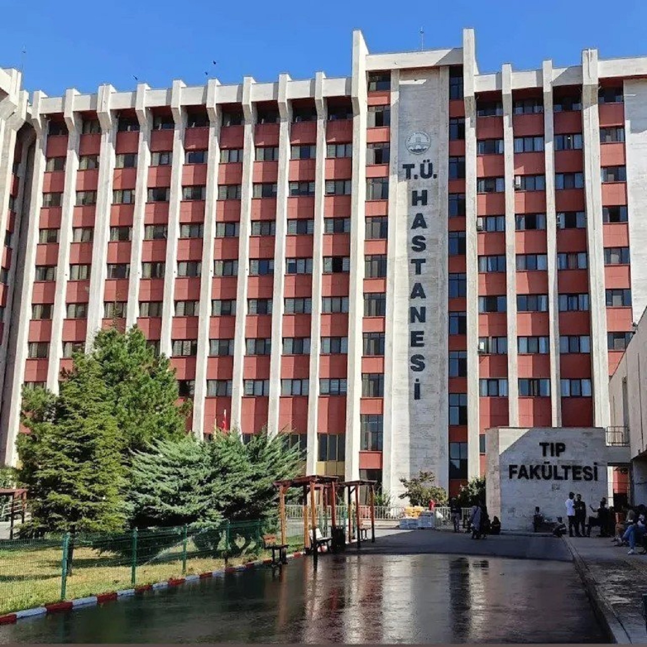 alkol-kolonya.jpg