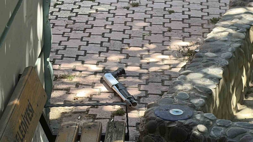pompali-parkk.jpg