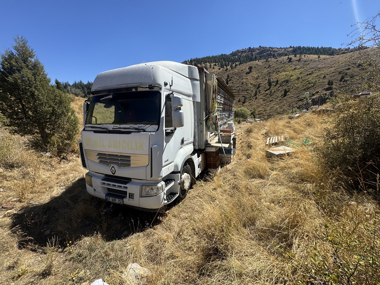 aw789507-03.jpg