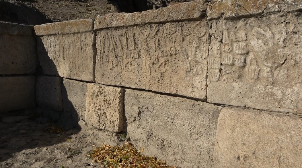 aw796801-06.jpg