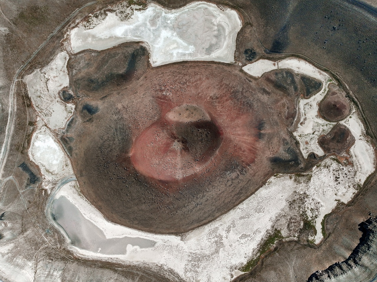 aa-20261014-42749556-42749529-meke-golunun-gorunmeyen-yasami-laboratuvar-ortaminda-korunuyor.jpg