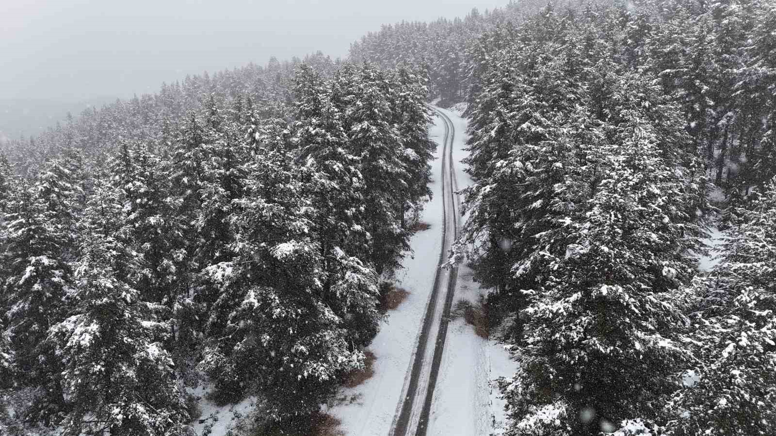bolu.jpg