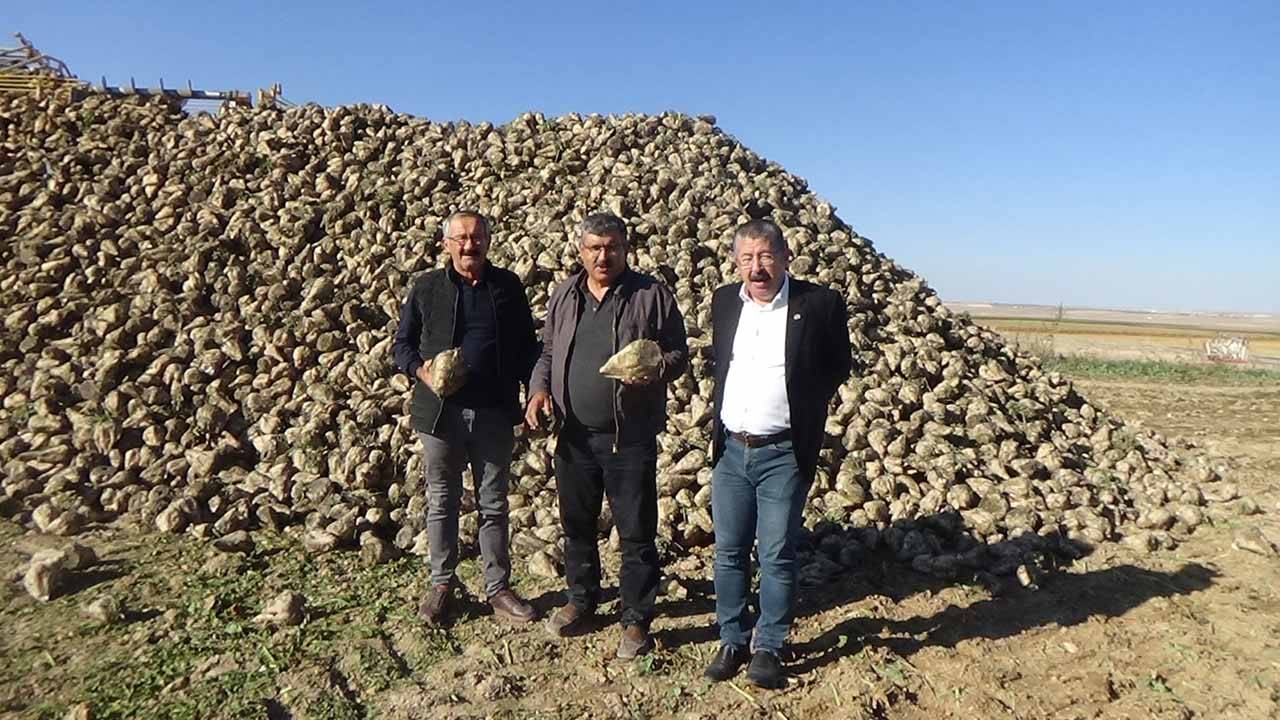 pancar-hasadi-karapinar.jpg