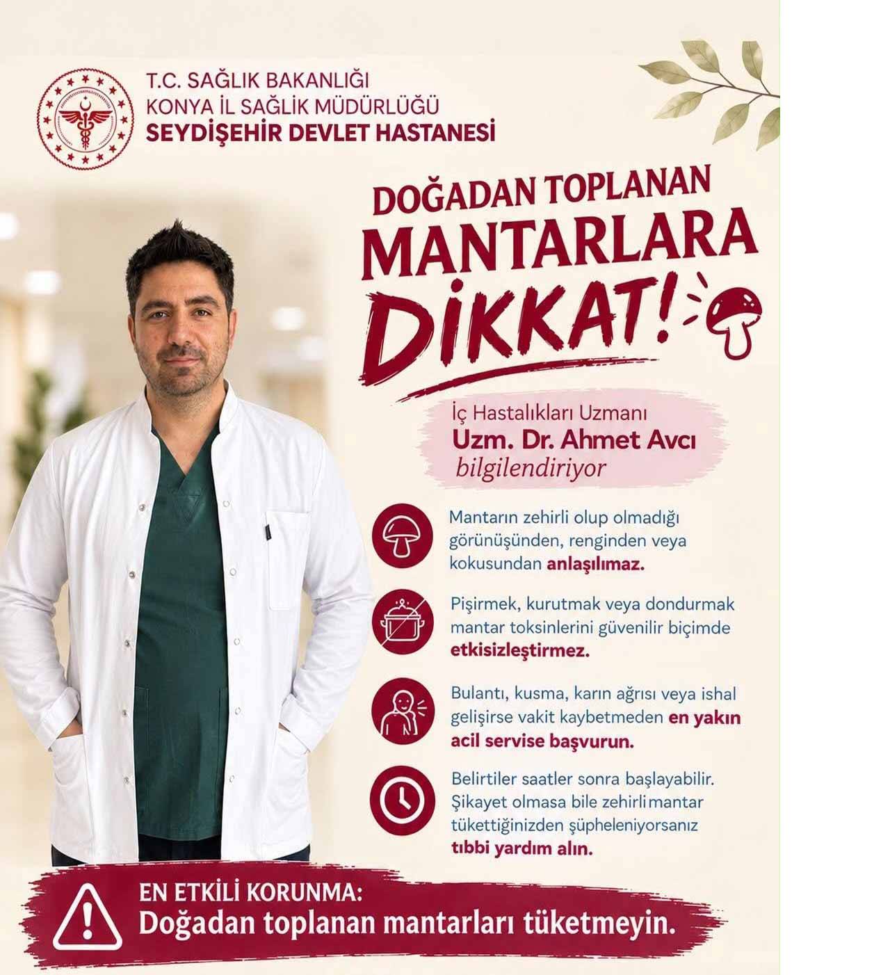 mantar.jpg