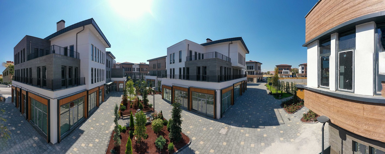 surici-5.jpg