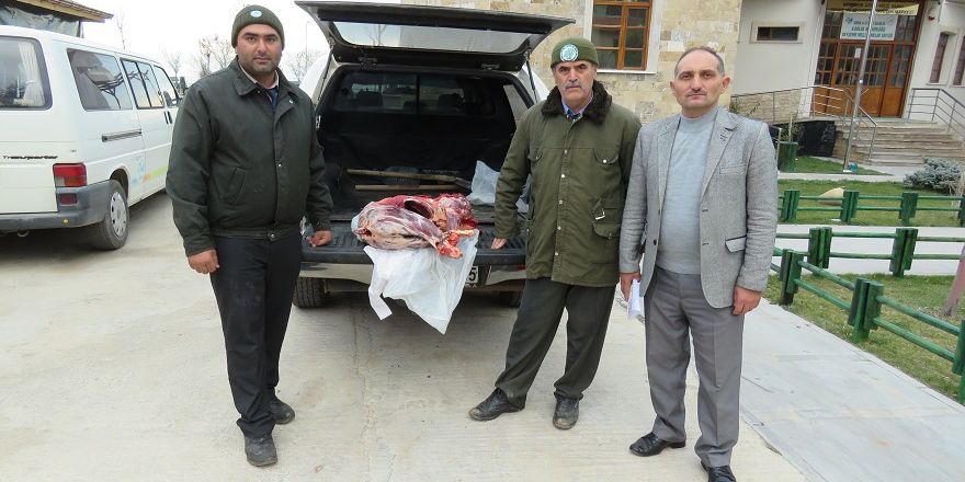 Koruma altındaki türlerden dağ keçisi avına 16 bin lira ceza