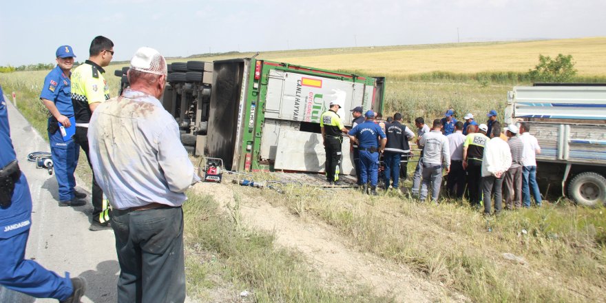 Tır devrildi, 10 yaşındaki çocuk öldü