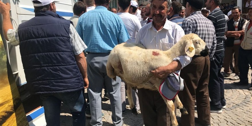 Derbent’te küçükbaş hayvan desteği