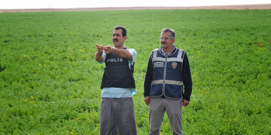 Çiftlik sahibi ile Afgan işçiyi, ağabey öldürmüş