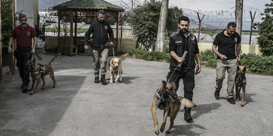 'Hassas burunlar' zehir tacirlerine geçit vermiyor