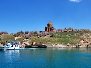 Akdamar Adası'nda tavşan istilası