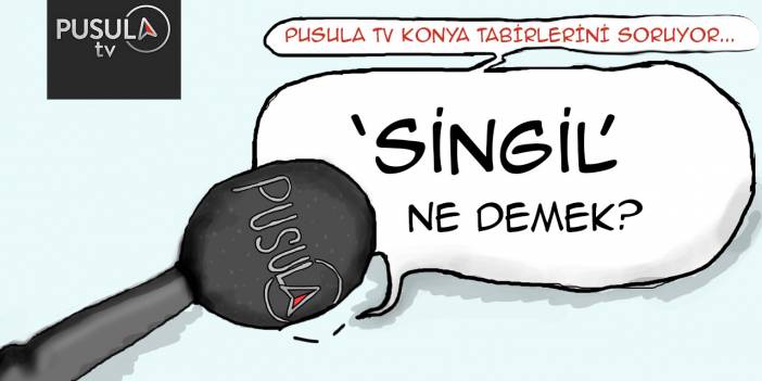 Singil ne demek?