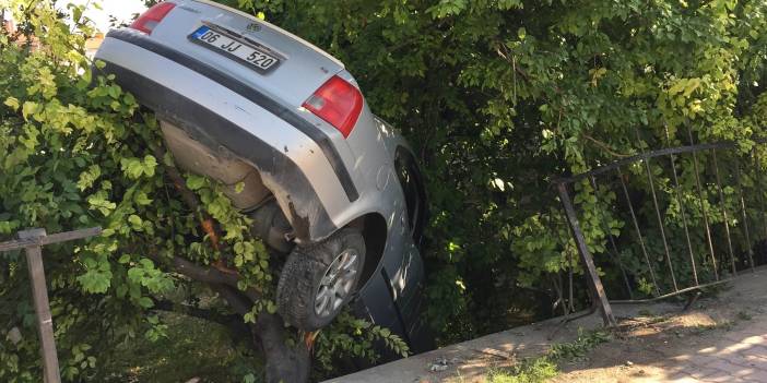 Kazada bahçeye düşen otomobil erik ağacında asılı kaldı