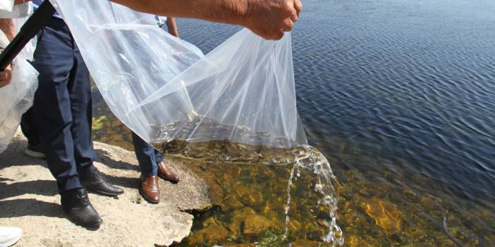Konya’da 21 göl ve gölete 1 milyon 8 bin yavru sazan balığı bırakıldı
