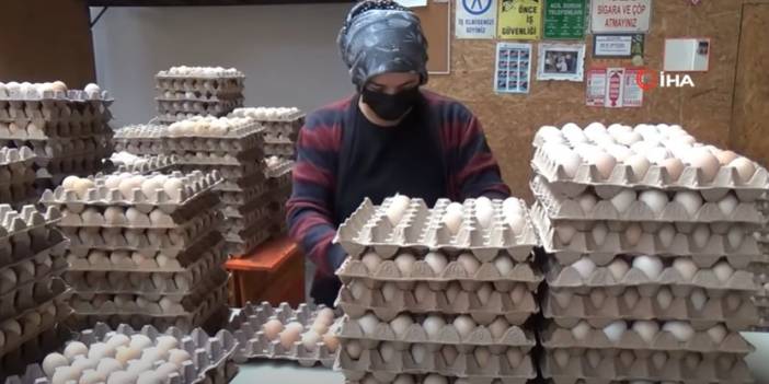 Yumurta Çiftlikten Pazara Kadar En Az İki El Değiştiriyor